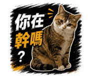 855835630