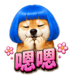 855835646