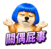 855835677