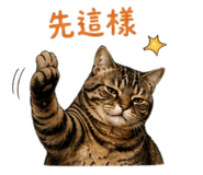 855837542