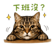 855837545