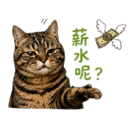 855837548