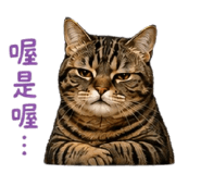 855837550
