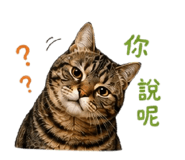 855837552
