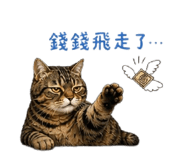 855837566
