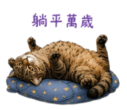 855837575