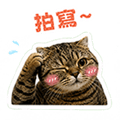 855837848