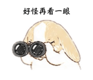 855838290
