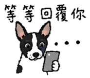 855838324