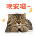 855838703