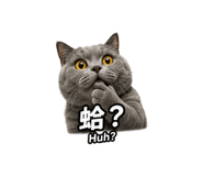 855838754