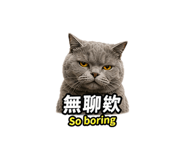855838760