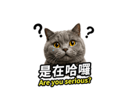 855838769