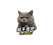 855838770