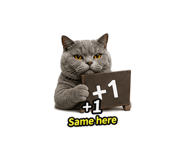 855838774