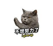 855838776