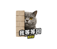 855838780