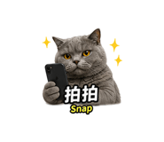 855838787