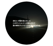 855838800