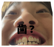 855839151