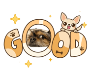 855839242
