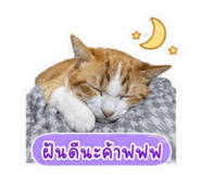 855839434
