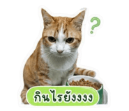 855839435
