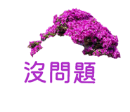 855839714