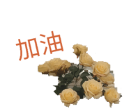 855839715