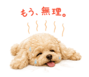 855839823
