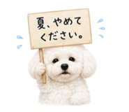 855839830