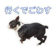 855839931