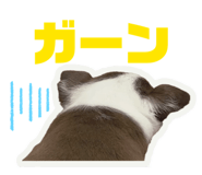 855839934
