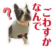 855839948