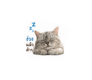 855840143
