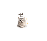 855840144