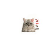 855840145
