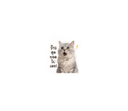 855840148