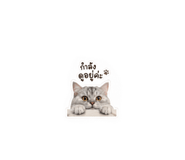855840153