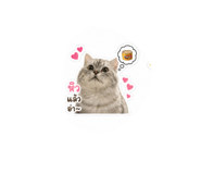 855840156