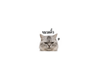 855840157