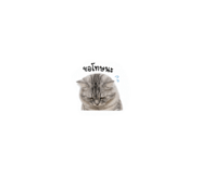 855840160