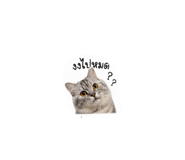 855840165