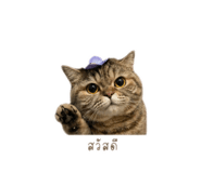 855840738