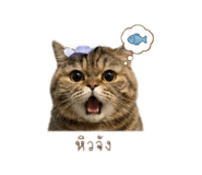 855840742