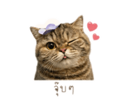 855840743