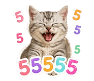 855841162