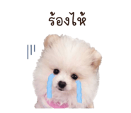 855841378
