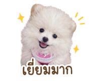 855841411
