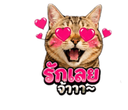 855841717